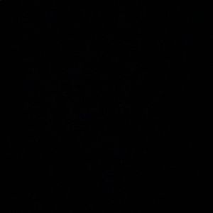 Meet your Posher, Krizel